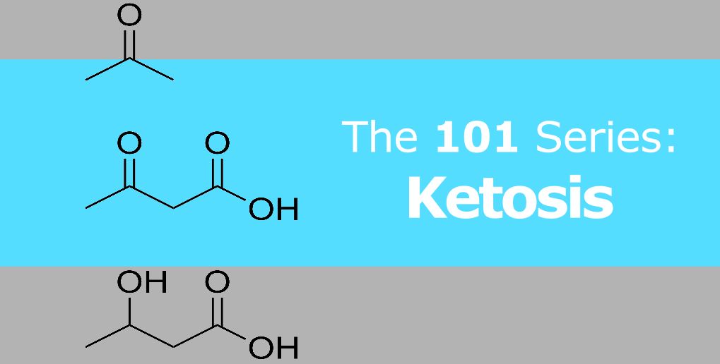 Ketosis – 101